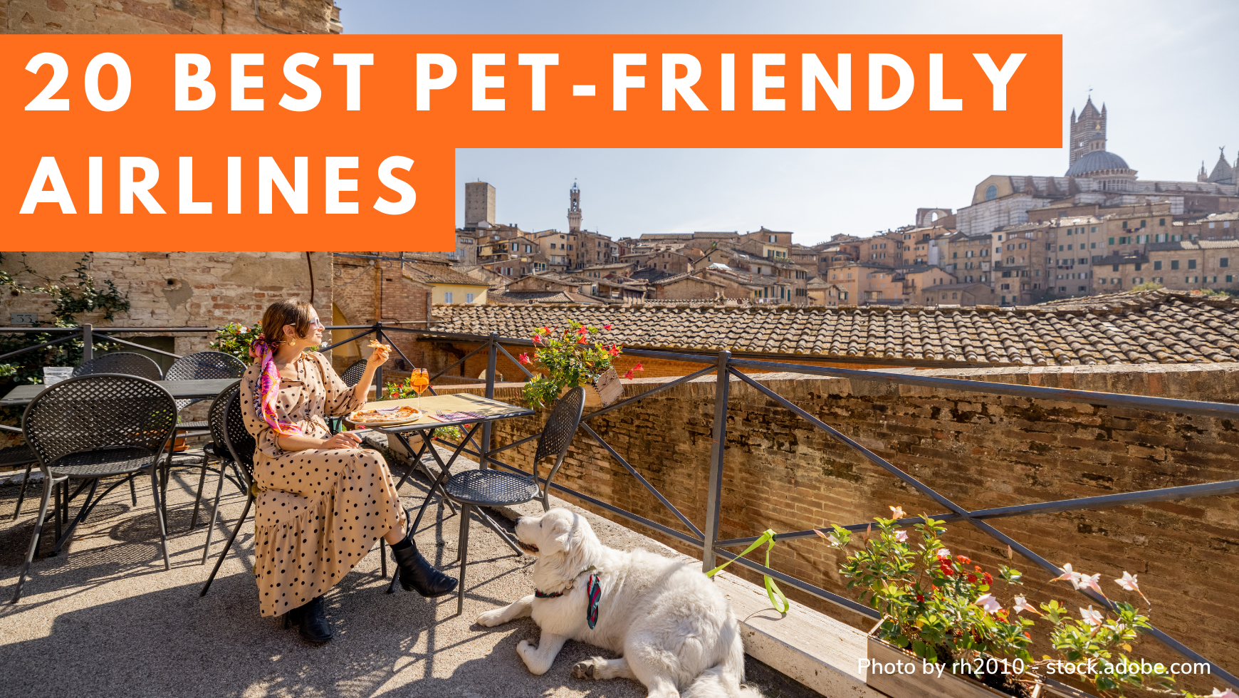 Top 20 Best PetFriendly Airlines! Take Your Pets On These PetFriendl