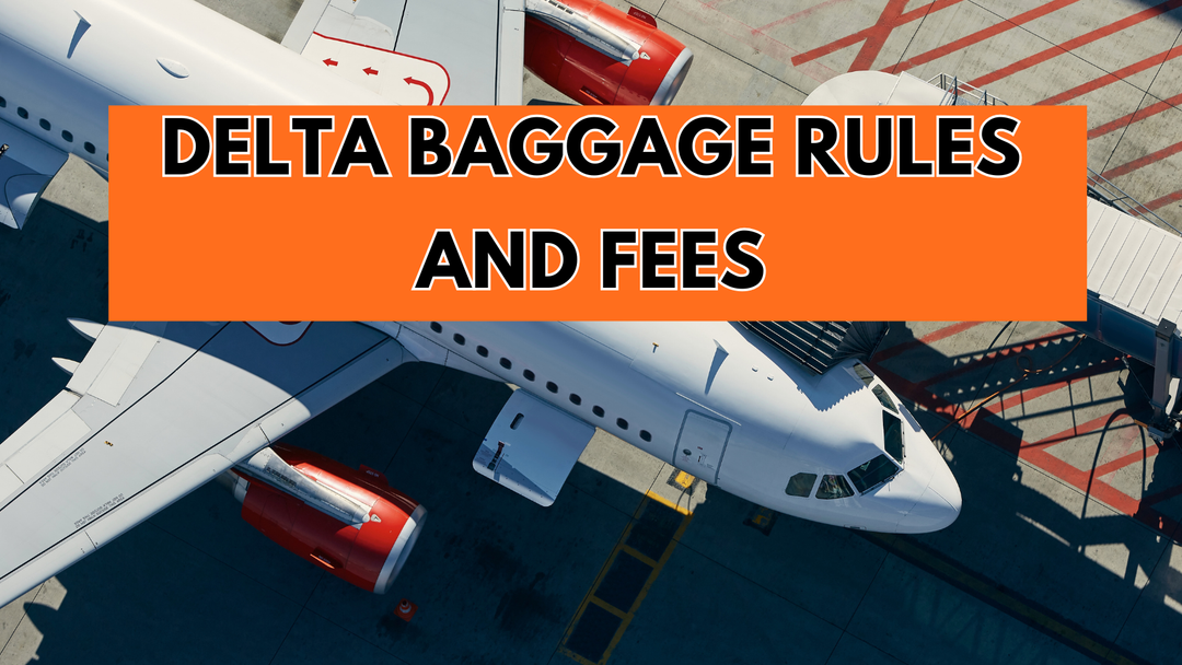 The Ultimate Delta Airlines Baggage Allowance In 2026