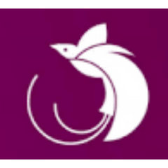 Air Niugini logo